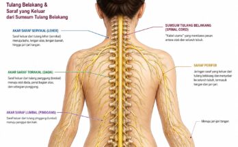 SPINE INJURY